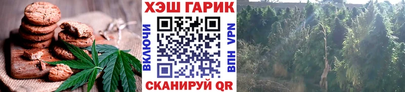 Canna-Cookies конопля  Купить закладки  Кадников 