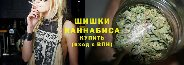 гидропоника Гусев